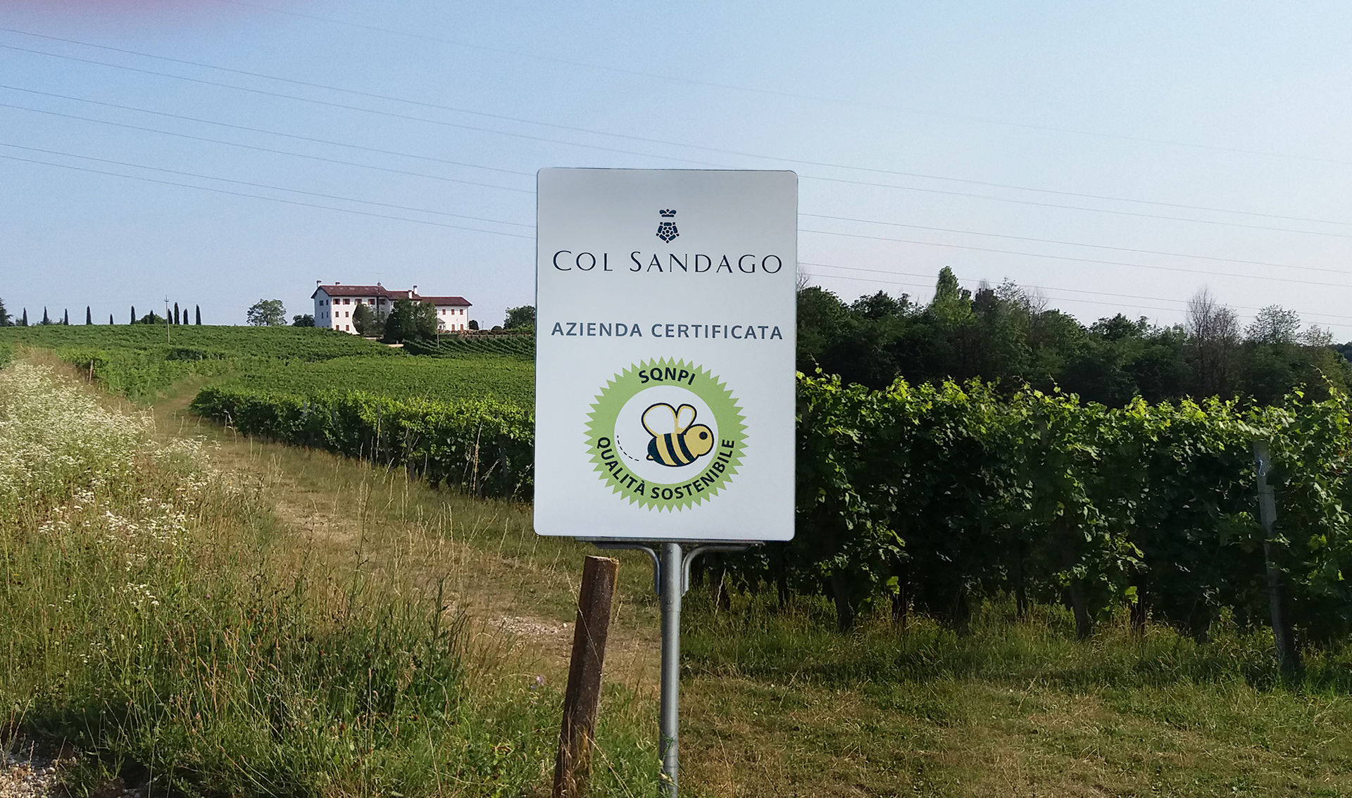 Col Sandago Via Barriera, 41 - 31058 Susegana (TV) - ITALY +39 0438 ...